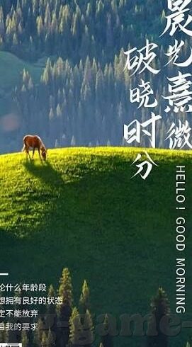 皇冠足球比赛比分-深度剖析，皇冠足球比赛比分背后的战术博弈与激情碰撞