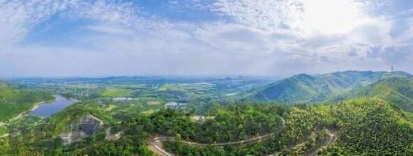 竞彩足球捷报比分-竞彩足球捷报比分，揭秘赛场背后的数据密码与投注智慧