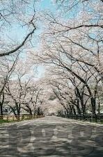 足球比分90移动版-足球比分90移动版，掌中绿茵的实时战况指南